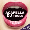 Acapella DJ Tools Vol.5
