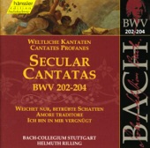 Weichet Nur, Betrubte Schatten, BWV 202, "Wedding Cantata": Aria: Weichet Nur, Betrubte Schatten (Soprano) artwork