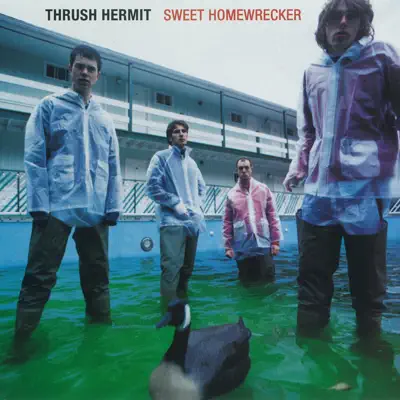 Sweet Homewrecker - Thrush Hermit Sweet Homewrecker - Thrush Hermit