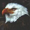 The Hawk Is Howling album lyrics, reviews, download