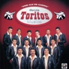 Banda Toritos Musical