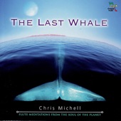 The Last Whale artwork