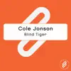 Stream & download Blind Tiger - Single