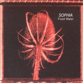 Sophia - Is It Any Wonder