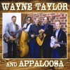 Wayne Taylor and Appaloosa