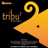 Afrosoup Presents Tribu', 2011