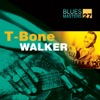 Blues Masters Vol. 27