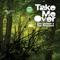 Take Me Over (Sebastian Davidson Green Remix) - The Quasar & The Pressure lyrics