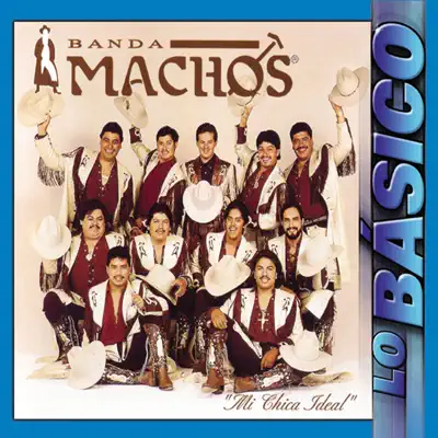 Mi Chica Ideal - Lo Básico - Banda Machos