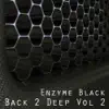 Enzyme Black (Back 2 Deep Vol 2) album lyrics, reviews, download