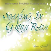 Soaking In Glory Rain - Prophetic Instrumental Worship Music artwork