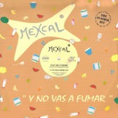 Y No Vas a Fumar (Instrumental Version) artwork