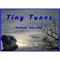 Neera - TinyTunes lyrics