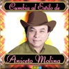 Cumbia al Estilo de Aniceto Molina, 2007