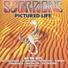 Scorpions - In Your Park