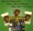 @ Love Comes And Goes - Johnny Osbourne *