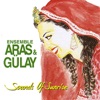 Ensemble Aras & Gulay - Tsenherlen Haragdah Uul