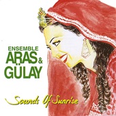 Gülay & The Ensemble Aras - Kara Şeyler