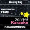 Waving Flag (Hymne International World Cup 2010) [Rendu célèbre par K'naan] {Version karaoké} song lyrics