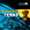 Blues Masters, Vol. 25