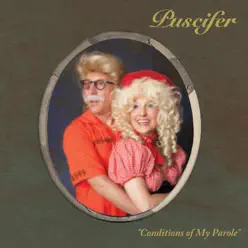 Conditions of My Parole - Puscifer