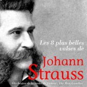 Les 8 plus belles valses de Johann Strauss artwork