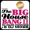 The Big House Bang, Vol. II (60 House Monsters and 6 DJ Mixes)