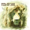 Feed My Soul Messianic Music Cd, 2011