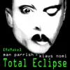 Total Eclipse Remake - Single album lyrics, reviews, download