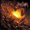 Angel Corpse - Stormgods Unbound