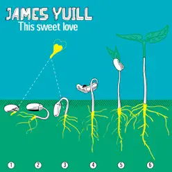 This Sweet Love (EP) - James Yuill