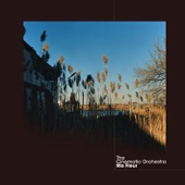 The Cinematic Orchestra - Flowers