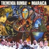 Tremenda Rumba!, 2002