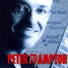Peter Frampton - Show Me the Way