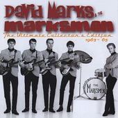 David Marks & The Marksmen - I Could Make You Mine