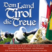 Dem Land Tirol die Treue artwork