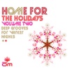 Home for the Holidays, Vol. Two, 2011