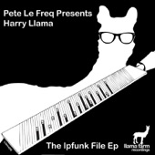 Kinda Groovy (Pete Le Freq Presents Harry Llama) artwork