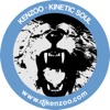 Kenzoo - Kinetic Soul (Original Mix)