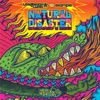 Natural Disaster (Laidback Luke vs. Example) [Remixes]