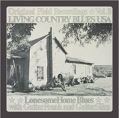 Living Country Blues USA, Vol. 8: Lonesome Home Blues artwork