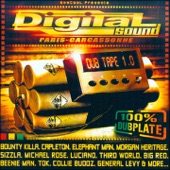 Digital Sound Dub Tape 1.0 (100% Dubplate) artwork