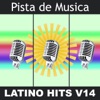 Pista de Musica: Latino Hits V14, 2010