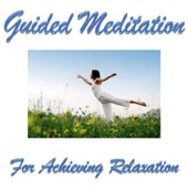 Guided Meditation for Achieving Relaxation artwork