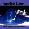 Vampire Vaginas At the Stupid Barbeque album lyrics, reviews, download