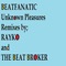 Unknown Pleasures (The Beat Broker Remix) - Beatfanatic lyrics