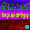 You Got Me Burning Up - EP