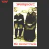 The Mesner Tracks album lyrics, reviews, download