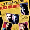 Terraplane - You Can't Hurt Me Anymore
