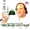Best Islamic Qawwalies Vol. 236
